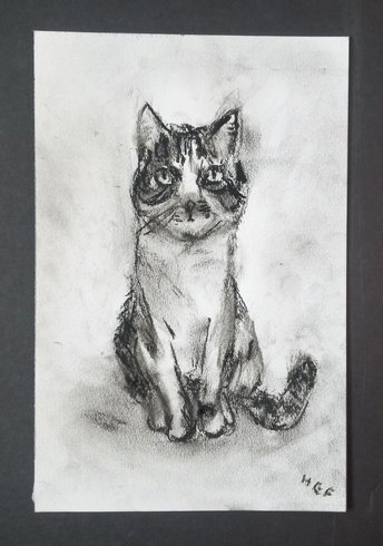 Custom Pet Portrait Charcoal Drawing, Cat Sketch from Photo, Hand-Drawn Original Wall Art, Cat Lover Gift, Art for Small Spaces