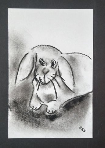 Bunny Charcoal Drawing, Floppy Ears Rabbit Hand-Drawn Original Wall Art, Bunny Lover Gift, Art for Small Spaces