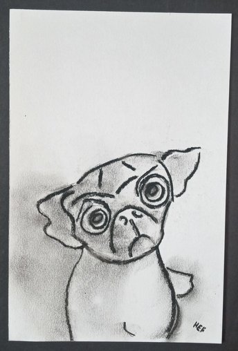 Pug Dog Charcoal Drawing, Canine Hand-Drawn Original Wall Art, Dog Lover Gift, Art for Small Spaces