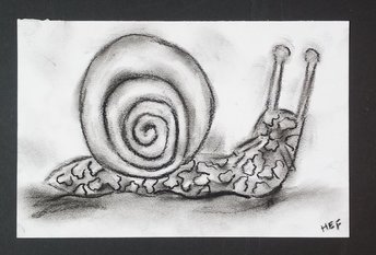 Snail Charcoal Drawing, Gastropod Hand-Drawn Original Wall Art, Snail Lover Gift, Art for Small Spaces