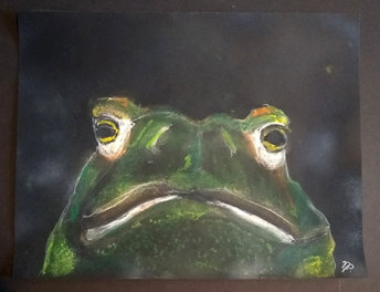 Angry Frog Charcoal and Pastels Drawing, Amphibian Hand-Drawn Original Wall Art, Frog Lover Gift, Art for Small Spaces