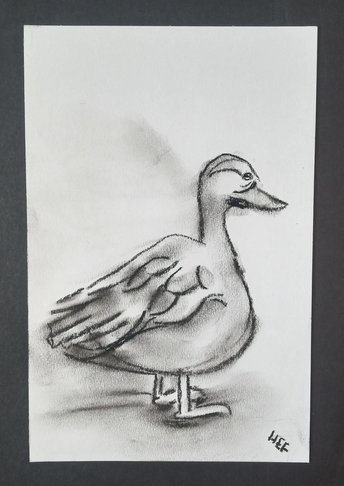 Duck Charcoal Drawing, Bird Hand-Drawn Original Wall Art, Duck Lover Gift, Art for Small Spaces